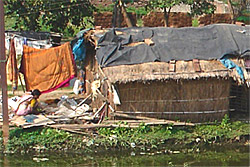 Shack Along Hwy