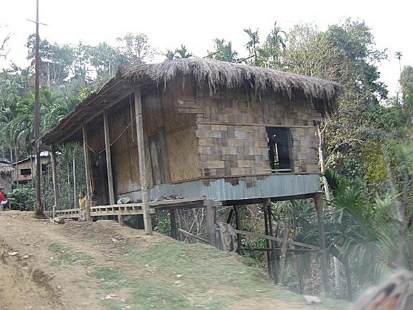 House On Stilts